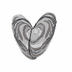 Clam Shell Heart